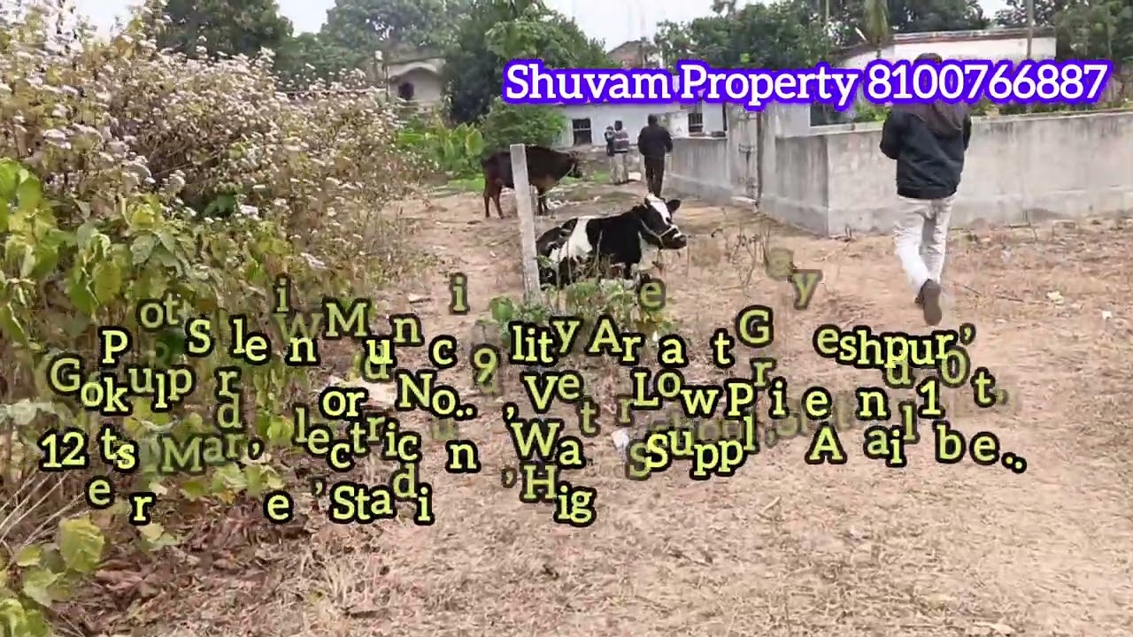  Plot Sale in Municipality Area at Gayeshpur , Gokulpur ,  Word No..9,Very Low Price 10 to12fts Road
