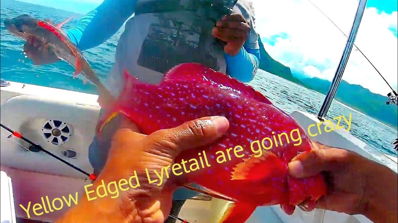 Fishing the reefs of Le Morne, Mauritius
