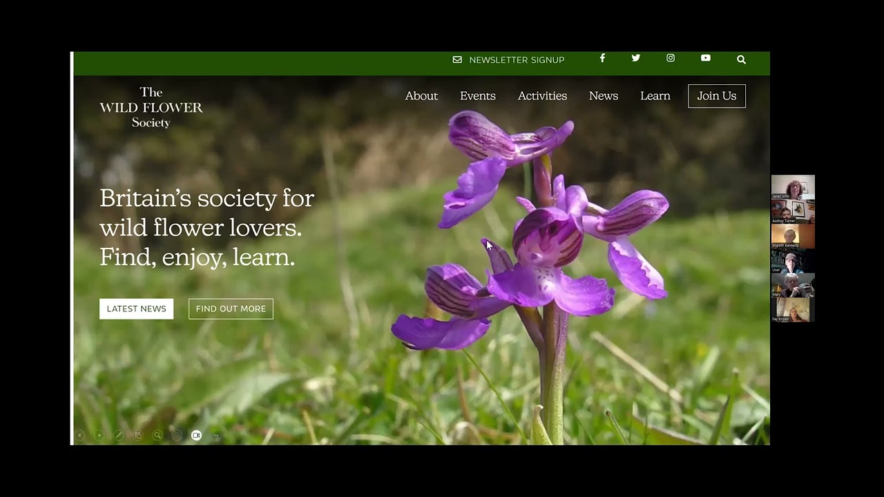 The Wild Flower Society by Janet John