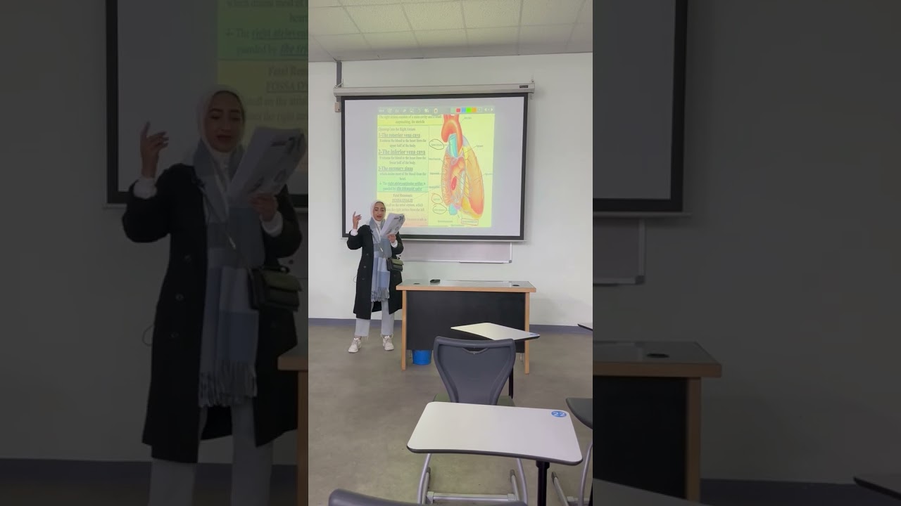 bashayer ( Anatomy of the heart 2). ❤️