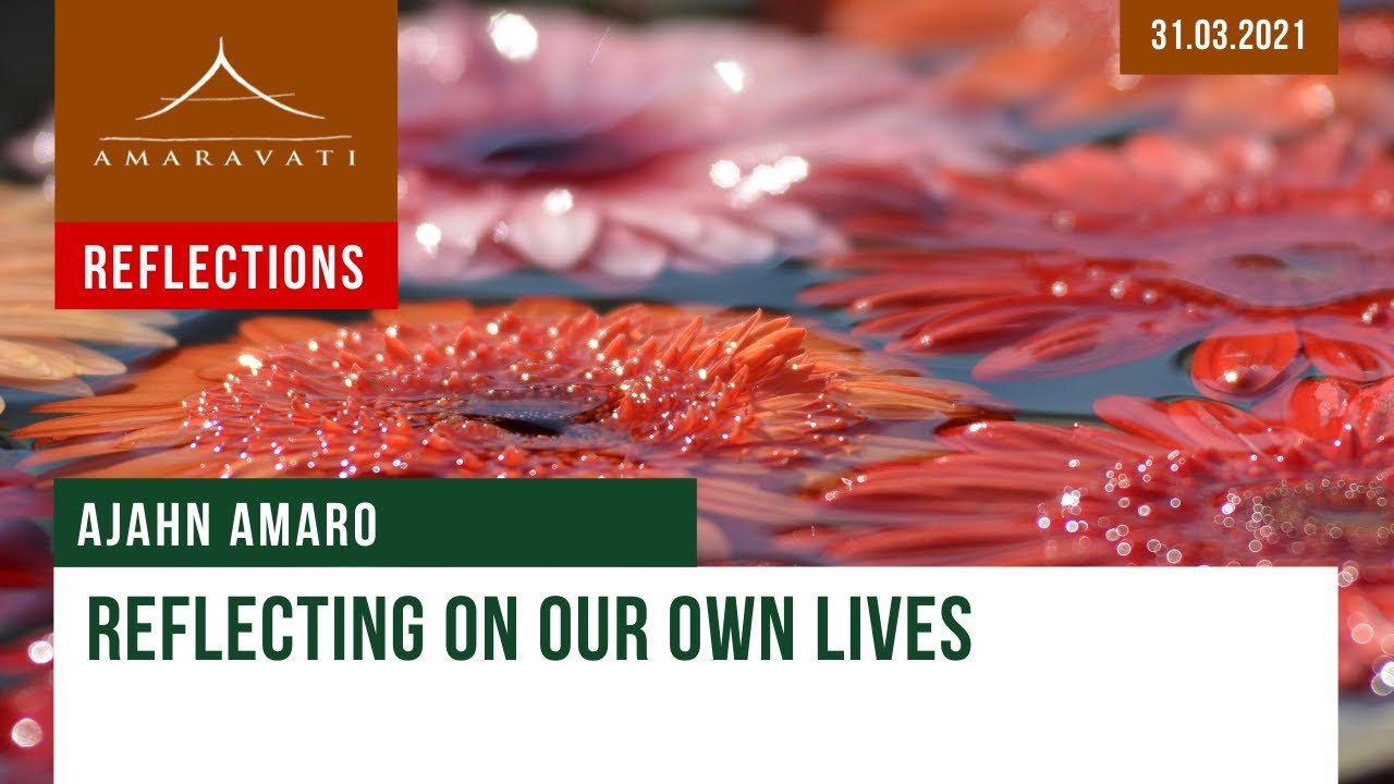 Reflecting on our own lives | Dhamma Reflection | 31.03.2021