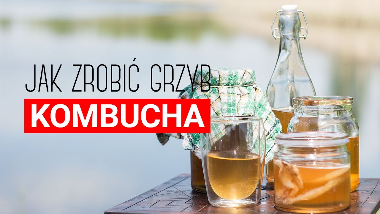 Grzyb kombucha &ndash; jak zrobić herbaciany grzyb i domową kombuchę?