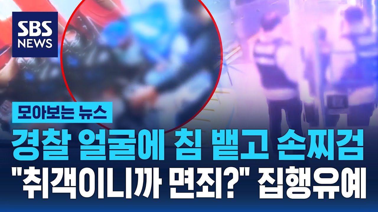 경찰 얼굴에 침 뱉고 손찌검…