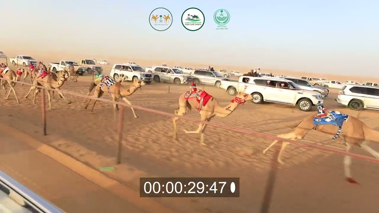 ميدان شروره-الشوط الأول الرئيسي بكار مفاريد ١٥٠٠م ( مياسه ) مبارك خويتم الكربي
