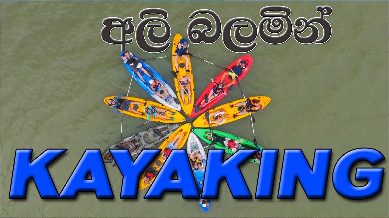 අලි බලමින් KAYAKING  කලා වැව