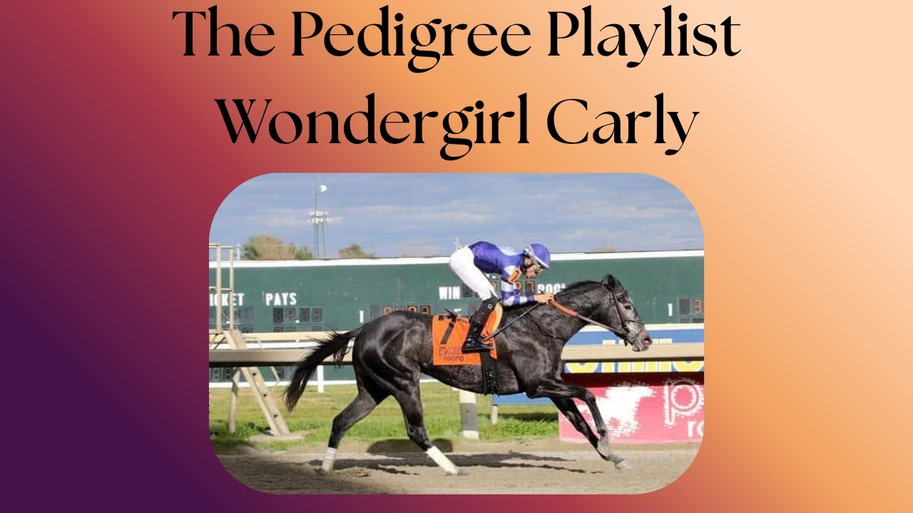 009 - Wondergirl Carly - Dave Portnoy owned racehorse