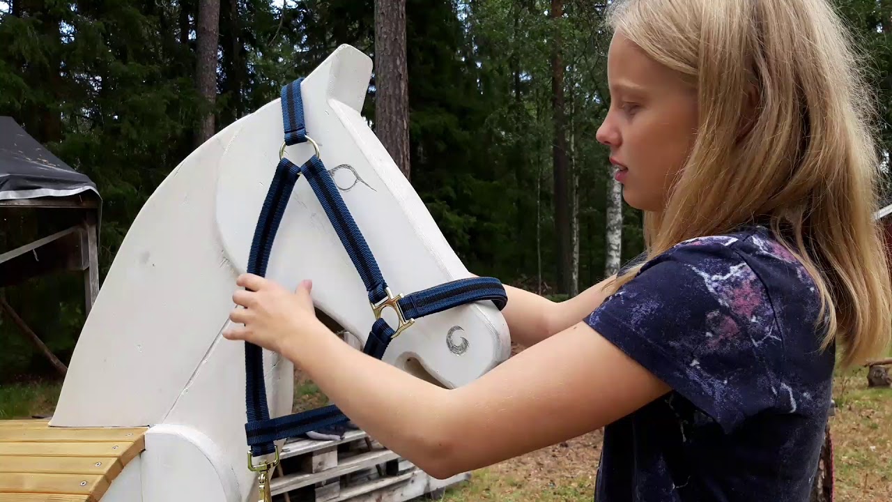 Visar häst saker