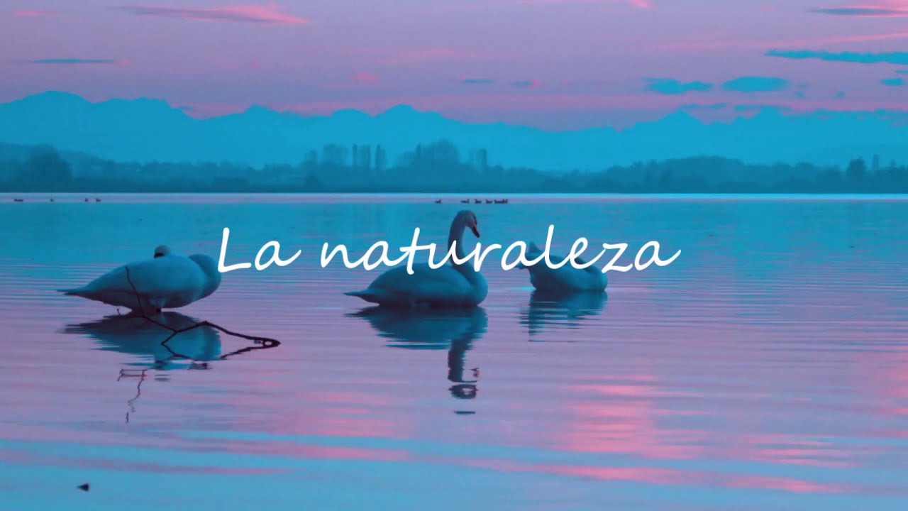 Hip Hop Instrumental Chill Beat - Lofi Hip Hop (Naturaleza) - [studio-tirat]