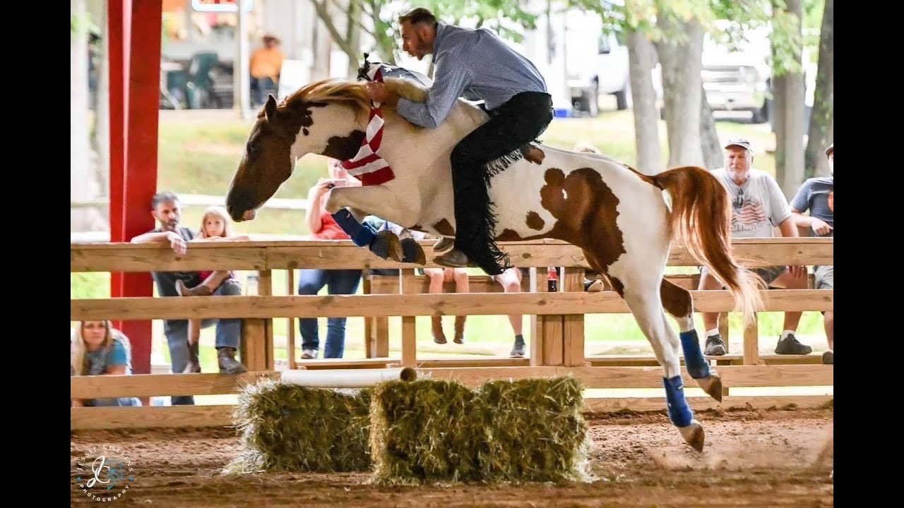 The Appalachian Trainer Face Off by Heart of Phoenix changes the lives of horses through trainers