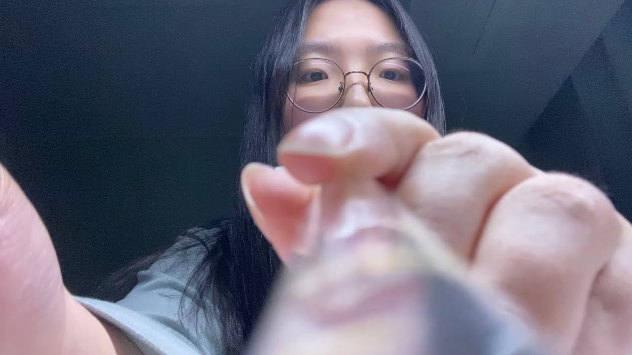 심심해서 찍어봄/시각적팅글/asmr/