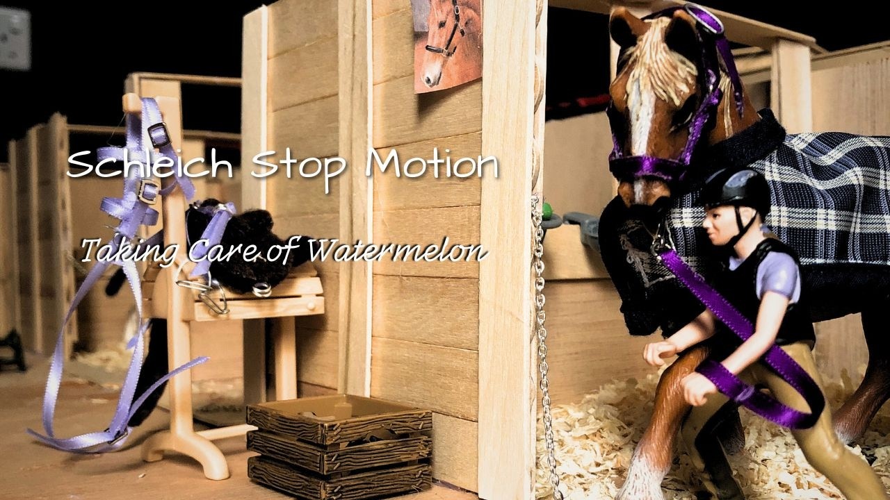 Taking Care of Watermelon - A Schleich Horse Stopmotion