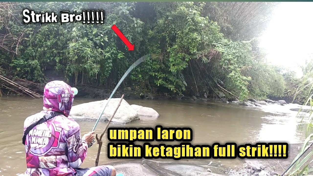 JOSS TENAN!!!! UMPAN LARON NYOOOTT!! JANGAN DITIRU NANTI KEPENGEN, MANCING DI SUNGAI