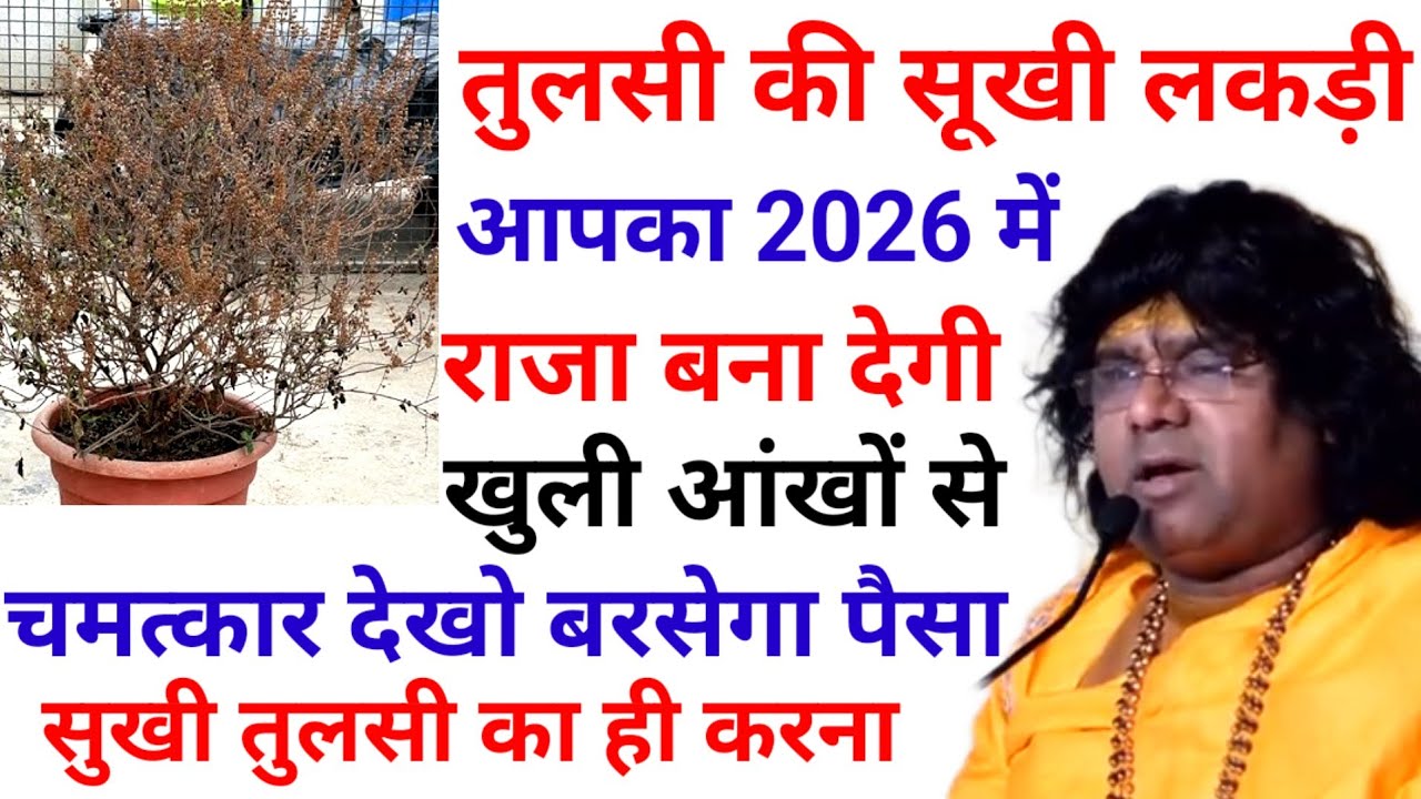 @AcharyaShriKaushikJiMaharaj  एक तुलसी की सूखी लकड़ी 2026 मे भिखारी से राजा बना देगी आपको #bhakti 