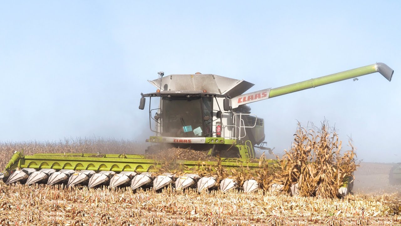 🇫🇷 XXL CORN Harvest / Moisson Maïs in FRANCE ! 16 ROWS & Lexion 770