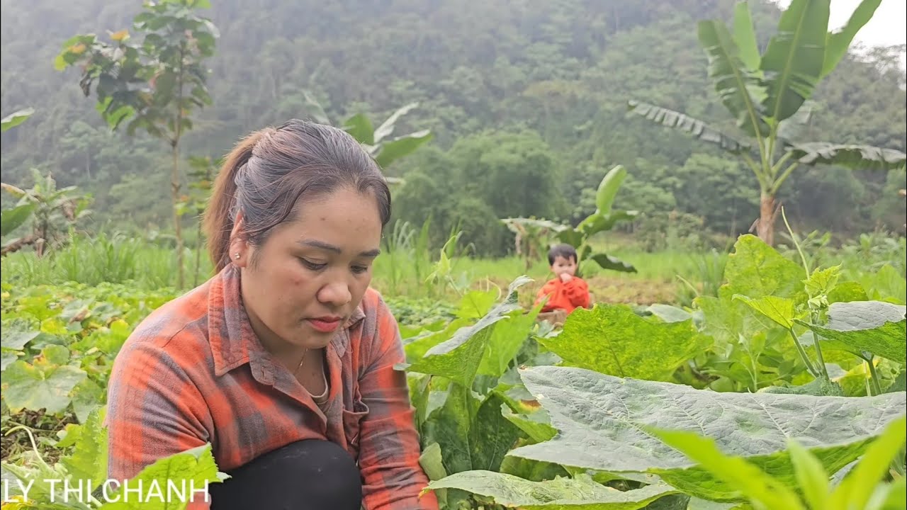full video 45 days of life of a single mother and an old man building a new place together