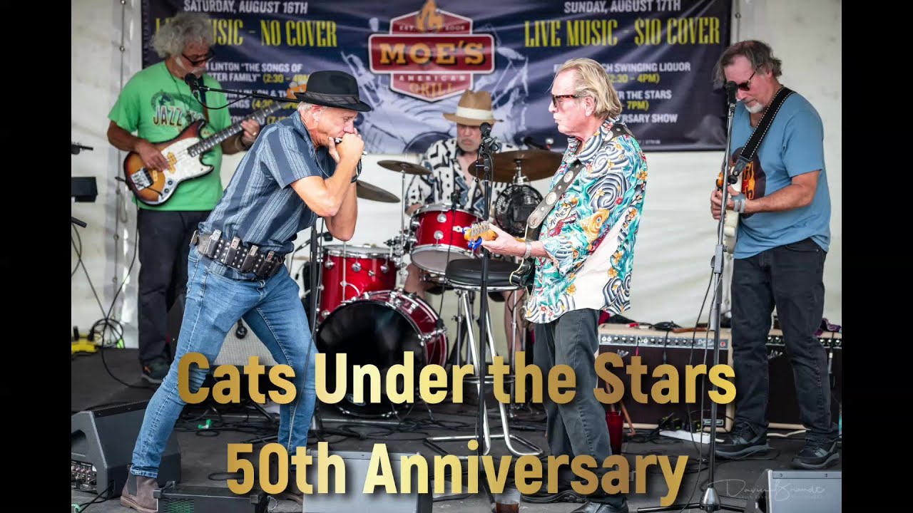 Cats at 50   720p PT 4