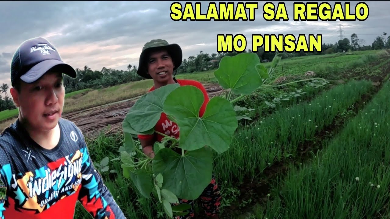Salamat sa regalo pinsan Ganito ang ugali ng mga taga Quezon Pag bumista laging may padala  (PAMANA)