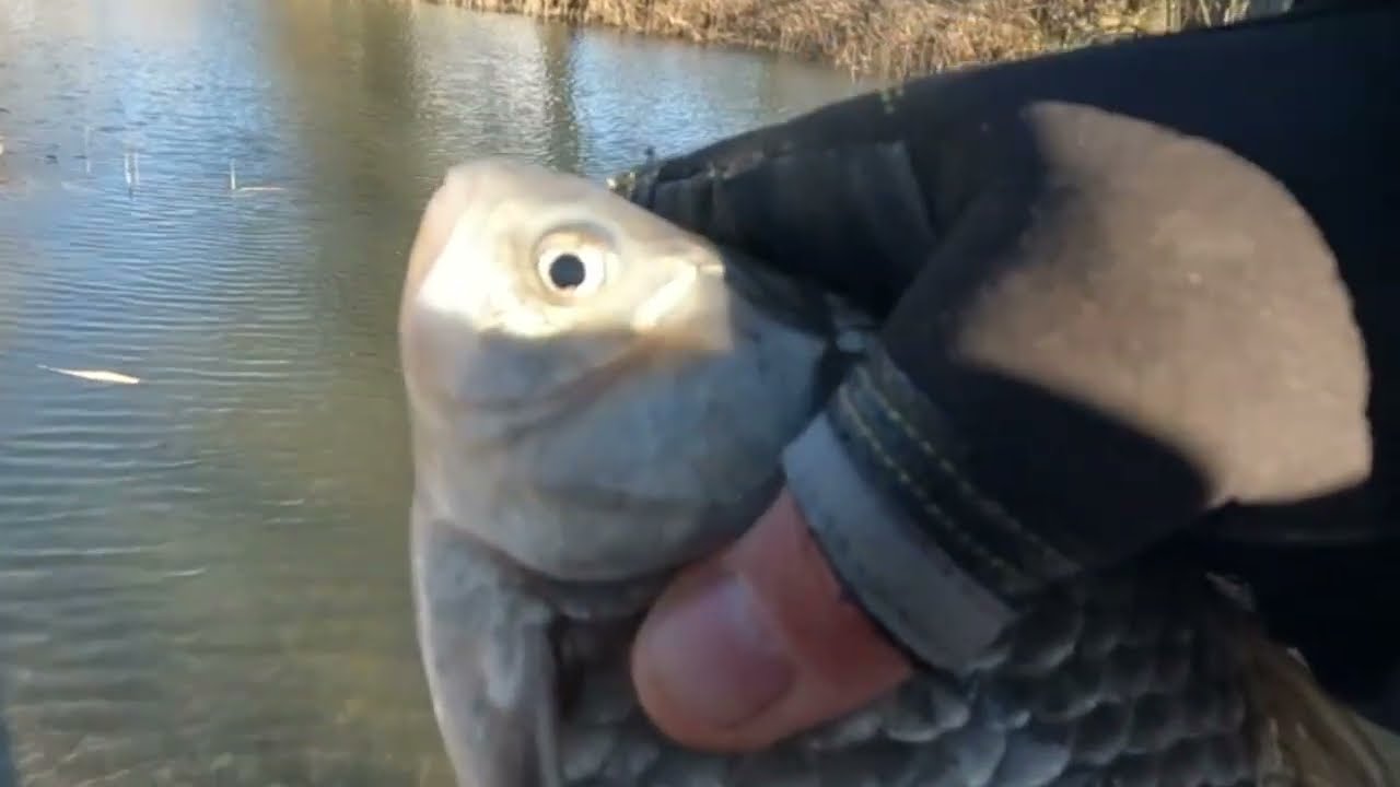 ecetbe jó lesz... xul horgászat Kirillel 01.05 redkrill.hu