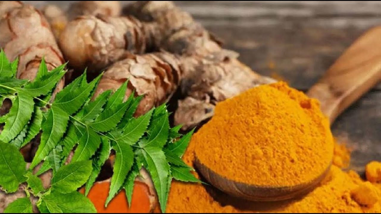 Benefits Of Neem & Turmeric Helps To Detox Yourself | Yogic Food By Sadhguru | Good Health Tips 24/7