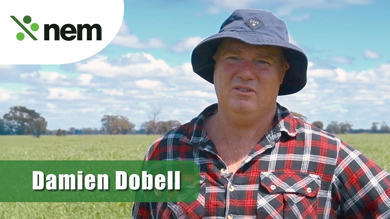 Damien Dobell on using NoduleN on peas | New Edge Microbials