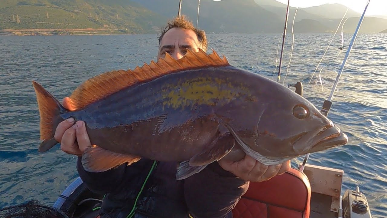 ΨΑΡΕΜΑ EXPRESS με ΜΕΓΆΛΗ ΣΤΗΡΑ 🐟 ΠΩΣ ΝΑ ΒΛΕΠΕΙΣ την ΑΡΜΑΤΩΣΙΑ και η ΚΑΛΥΤΕΡΗ ΠΡΟΣΦΟΡΑ για ΔΙΠΛΩΜΑ
