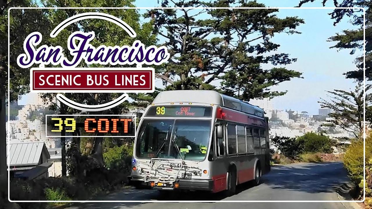 San Francisco Scenic Bus Lines - The 39-Coit line.