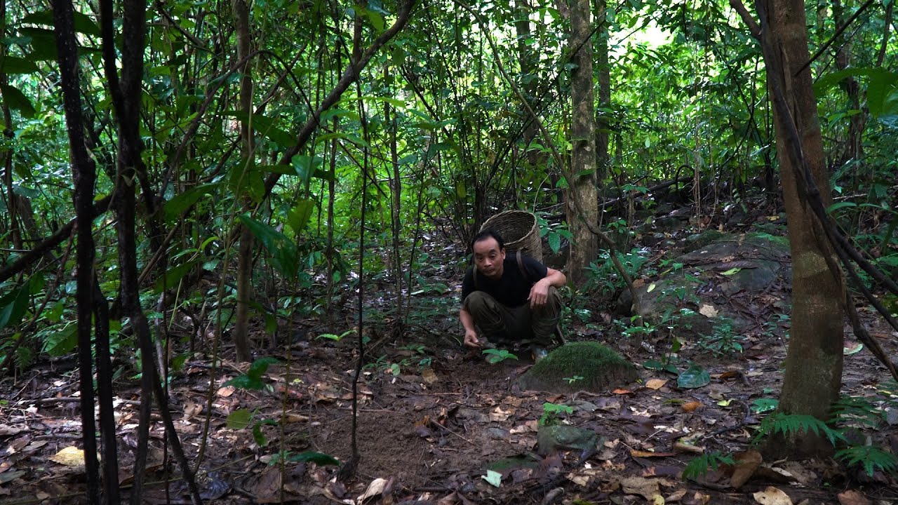 Signs of the Wild | LIVING OFF THE GRID | Episode 91