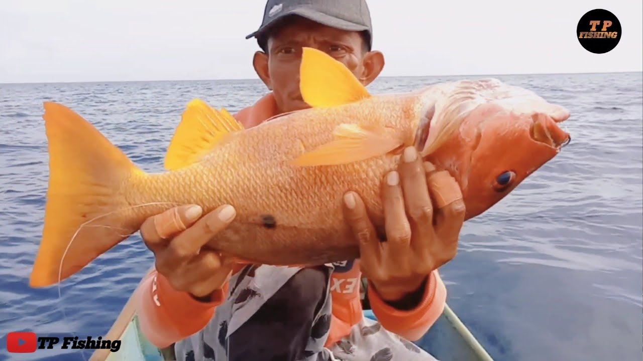 MANCING DI KARANG DALAM || TAK DI SANGKA TERNYATA BANYAK IKAN DI SPOT INI || AUTO STIKE BERUNTUN
