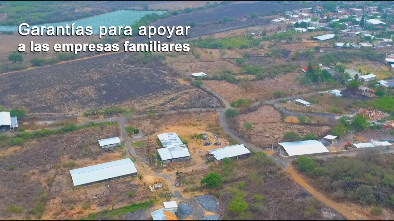 Programa de Financiamiento a la Mediana Empresa agroalimentaria y Rural