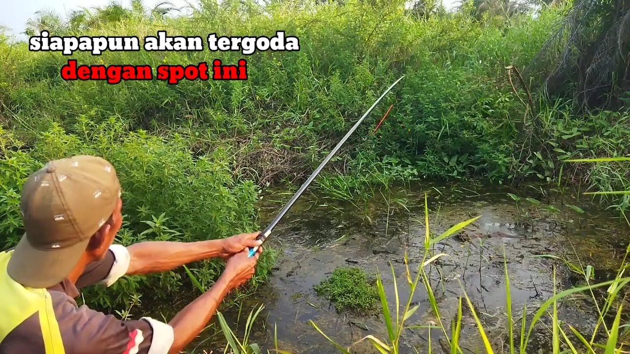 Untung spotnya ga ketauan sama tukang setrum ikan kalo ketauan habis lah sudah