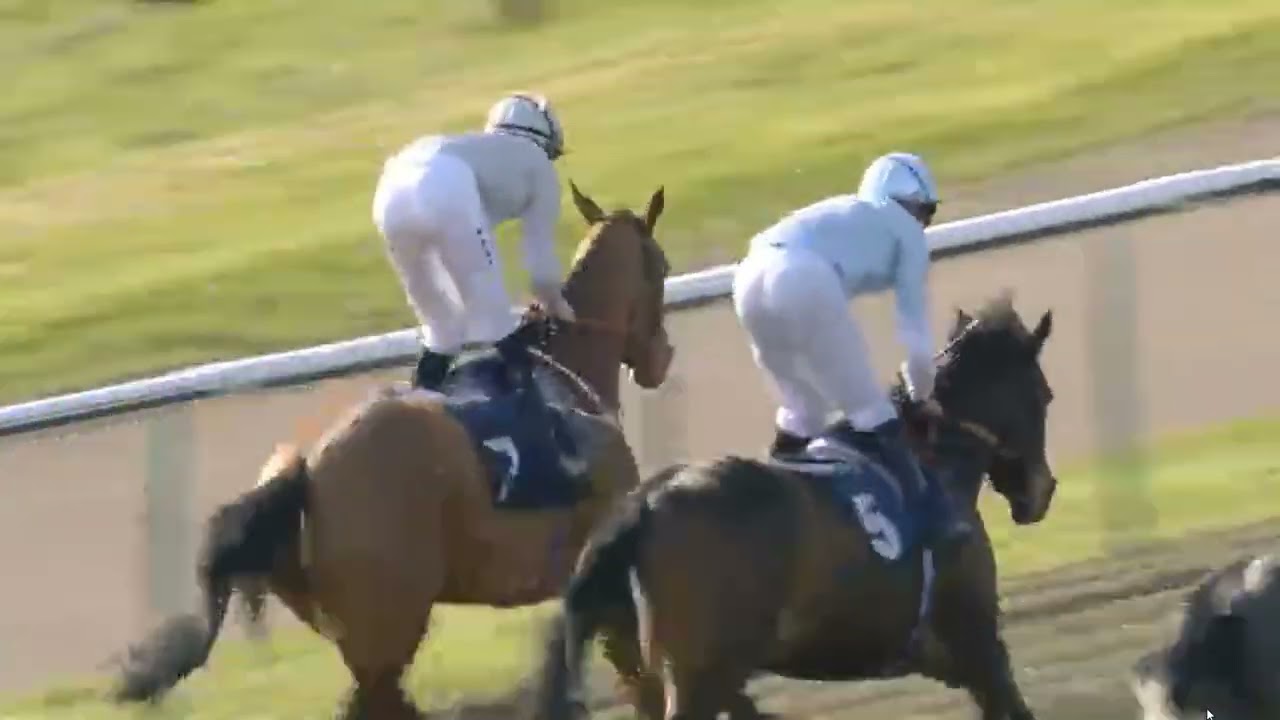 R2 14:23 Lingfield 05 Mar 2026