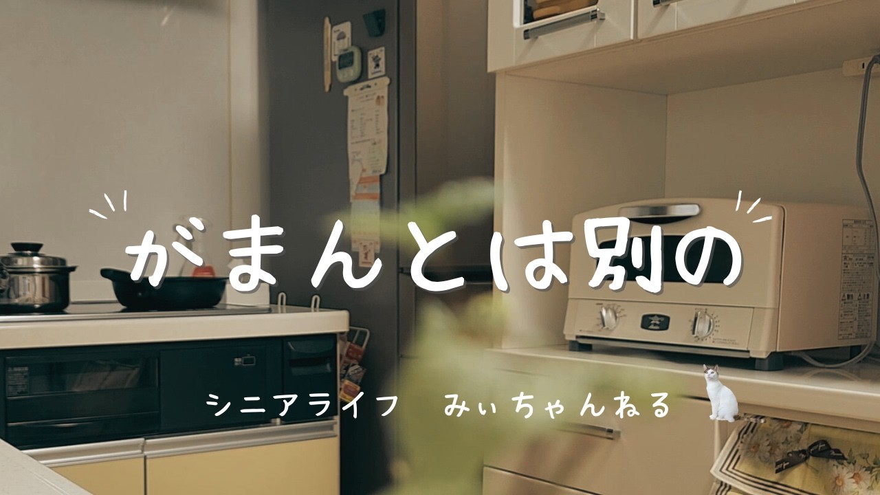 【Vlog】60代 家計簿を見直して見えてきた大事なもの/梅の開花/ネコご飯事情/今日の晩ごはん/