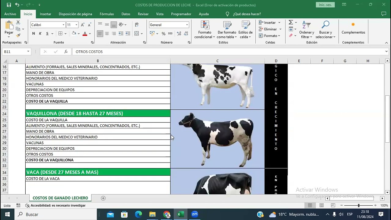 CONTABILIDAD PARA DETERMINAR EL COSTO DE LECHE DEL GANADO VACUNO