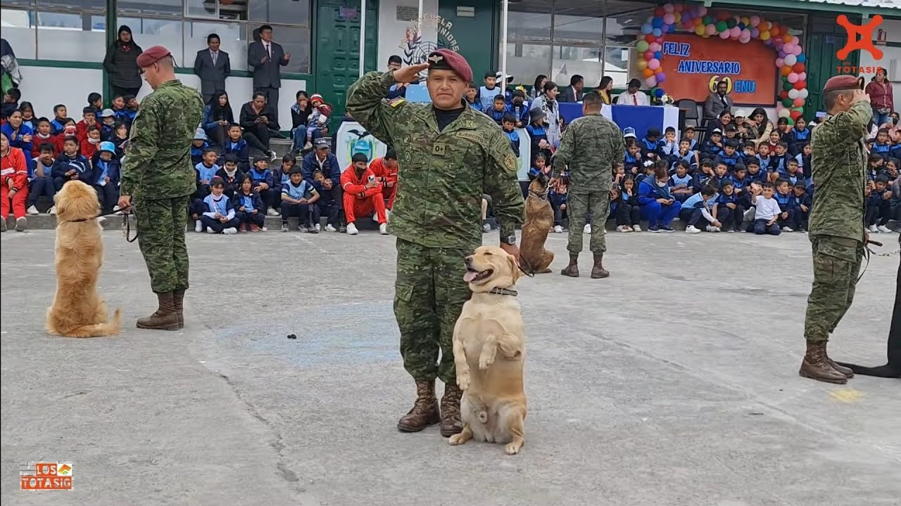 Presentación de canes amaestrados FUERZAS ESPECIALES N° 9 PATRIA /Escuela Naciones Unidas Saquisili/