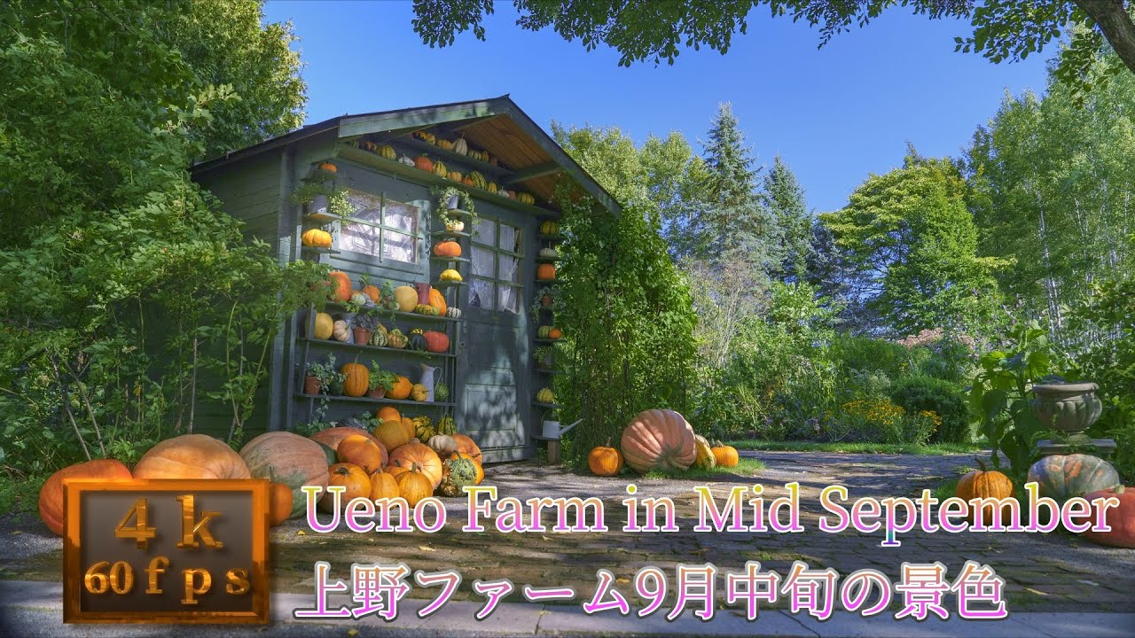 2025年9月中旬の上野ファームの景色