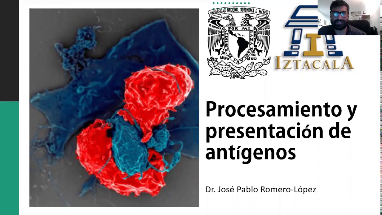 Clase: Procesamiento y presentación de antígenos