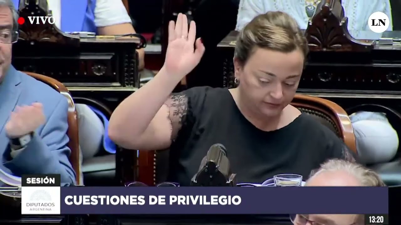 Cecilia Moreau arremetió contra Martín Menem, que le apagó el microfono