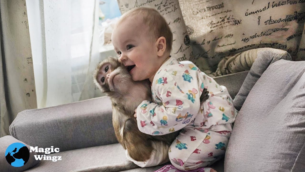 This Baby Grew Up With a Monkey — Now They’re Inseparable | Magic WingZ