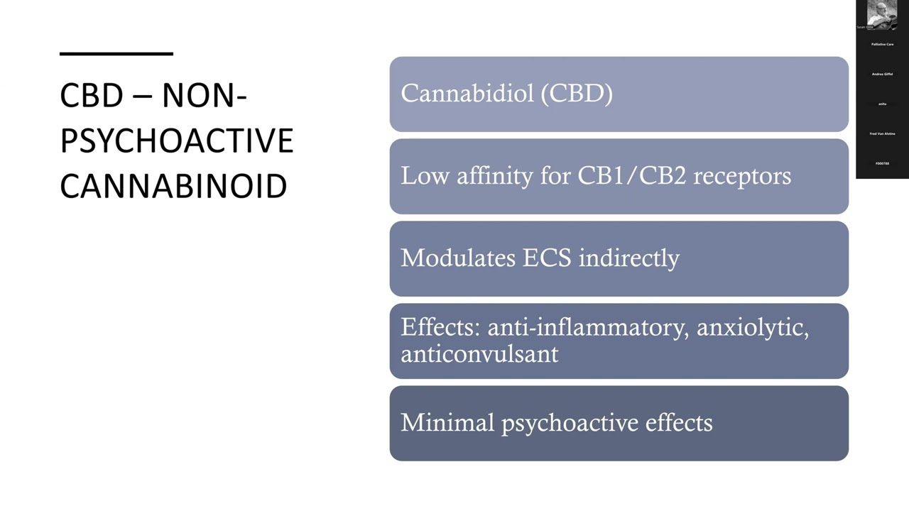 2025 06 19 Medical Marijuana
