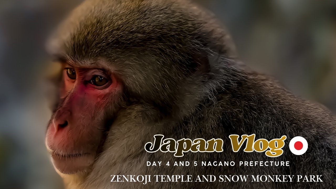 BISDAK TRAVELER: Day 4–5 in Japan | Zenkoji Temple & Snow Monkey Park in Nagano (Bucket List Trip)