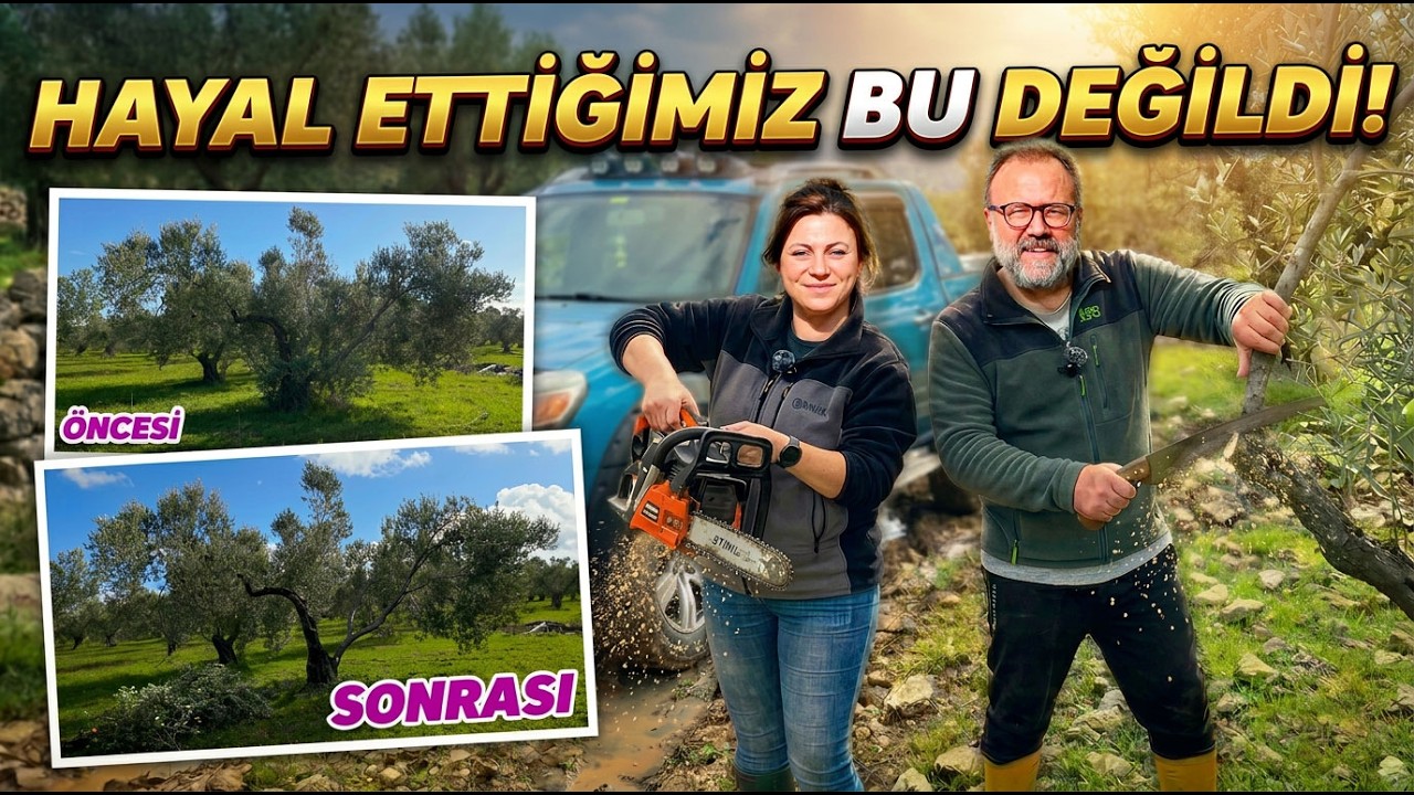 Köy Hayatının Zorlu Yüzü: Çamur, Yağmur ve Kurtarılmayı Bekleyen Zeytin Ağaçları