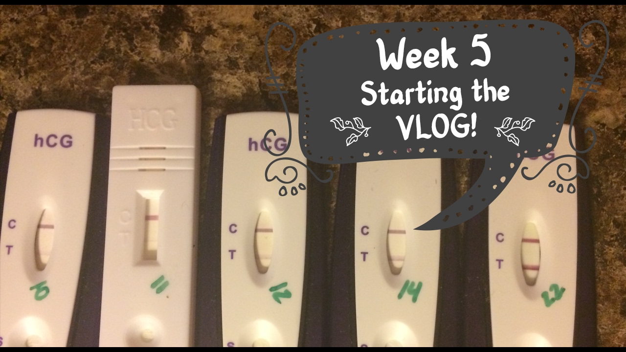 Week 5 Pregnancy VLOG - Just Getting Started!