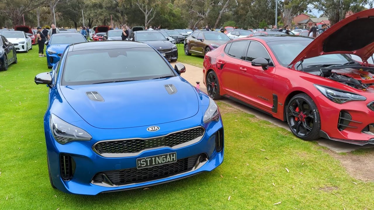 Kia Stingers of Australia Group - World Record Meet, Row by Row - November 2023