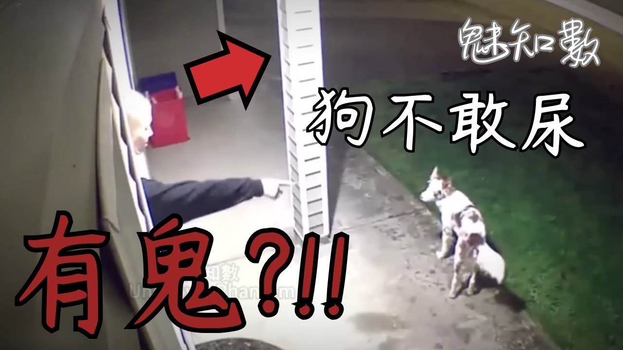 有鬼狗不敢尿 真實家庭監控 TOP10看完不敢關燈睡覺靈異恐怖影片|魅知數Unknown Phantom