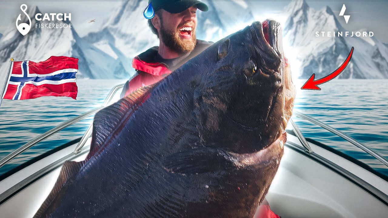 HAVSFISKE I NORGE!!!🇳🇴🎣 Fiske efter stor torsk, sej & hälleflundra