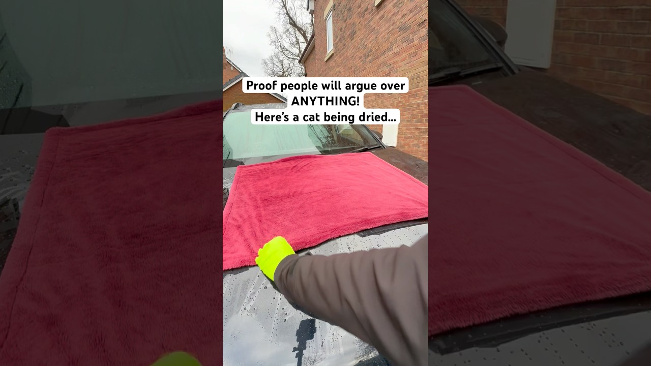 How HEATED Can It Get Just from Drying a Car? 🤔🔥 #viral #funny #satisfying #carwash