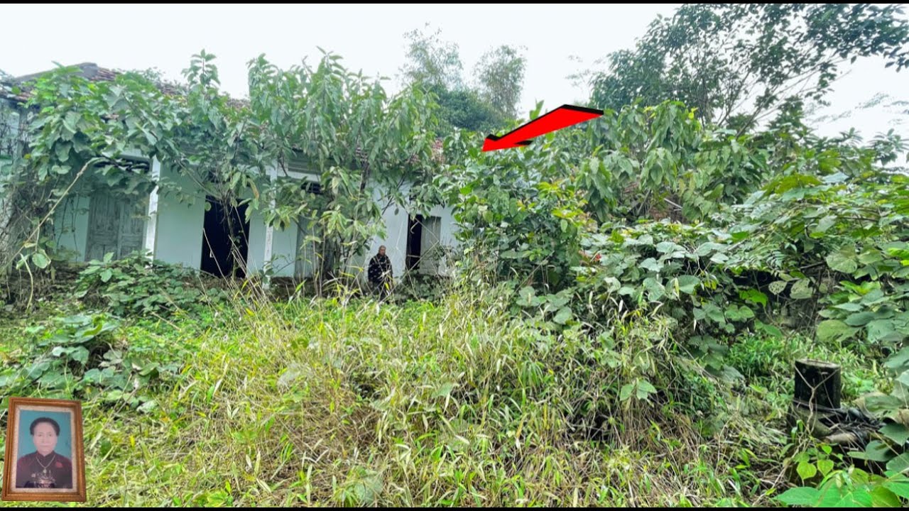 SHOCKED to meet the soldier in a house covered with wild plants, HE WAS MENTALLY AFFECTED.