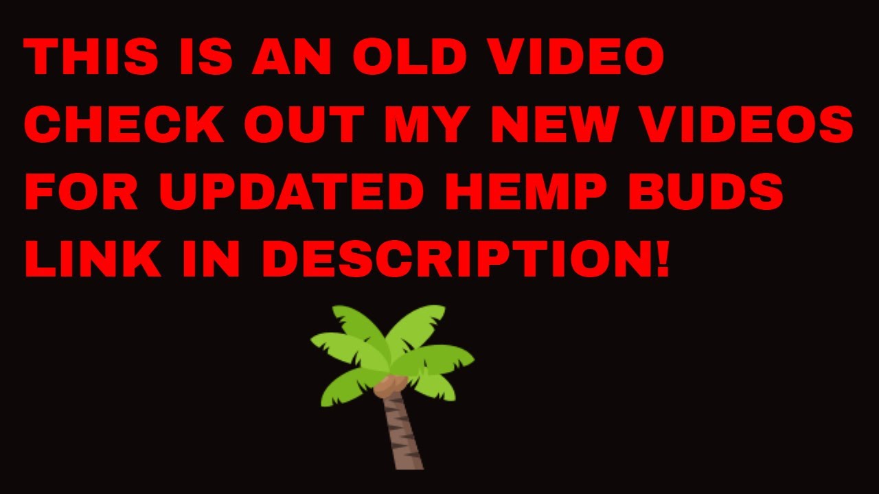 CBD hemp buds