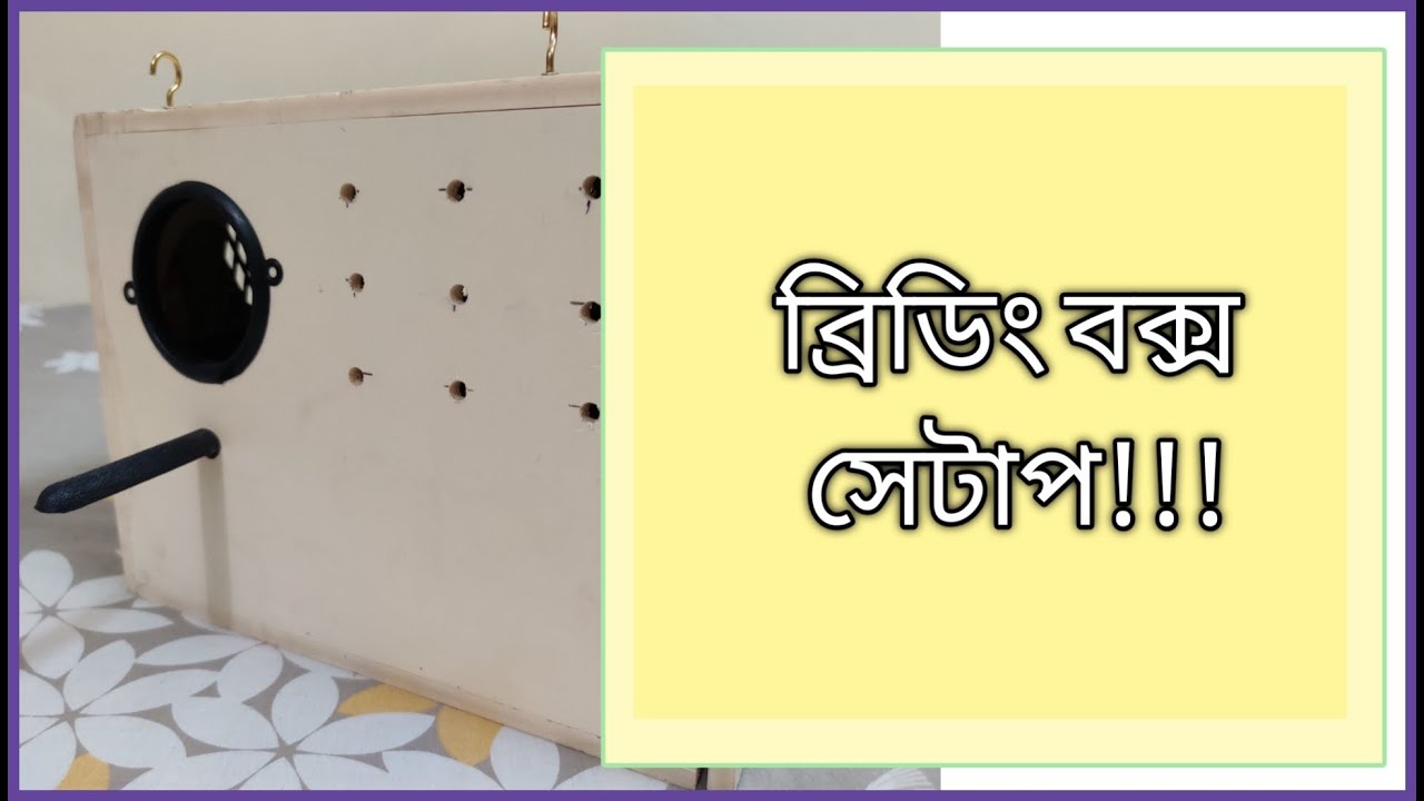 পাখির ব্রিডিং বক্স
