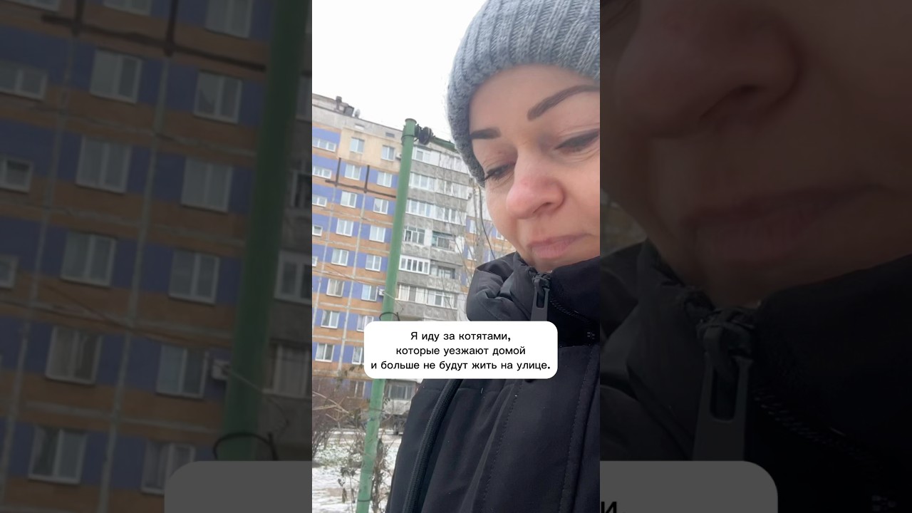 В этом видео — два котёнка, которых я забрала с улицы в мороз. Которые обрели семьи !